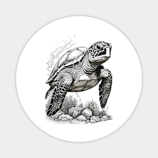 Black and White Green Sea Turtle Design Magnet